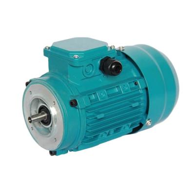 China High Efficiency Totally Enclosed Electric Motor 220/380V 230/440V 380/660V 400/690V Three Phase AC Motor for sale