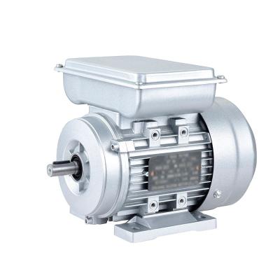 China China big factory good price 240v 0.75KW single phase totally enclosed ac motor for sale