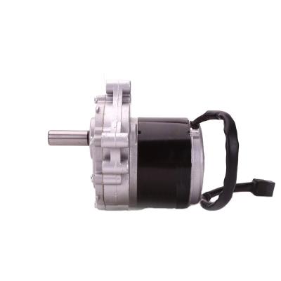 China Factory Manufacturer 24V 250W Waterproof Brush Low Speed ​​Motor For Wheelchair Motor for sale