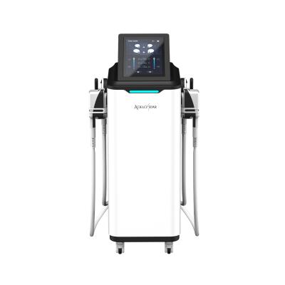 China Weight loss 2 in 1 cryolipolisis cryolipolisis cryotherapy 360 equip machine 360 ​​cryolipolysis slimming machine emslim for sale