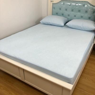 China Terry Cloth Waterproof Mattress Protector Bed Protector Insect Bed Cover Waterproof Home Waterproof Bed Cover for sale