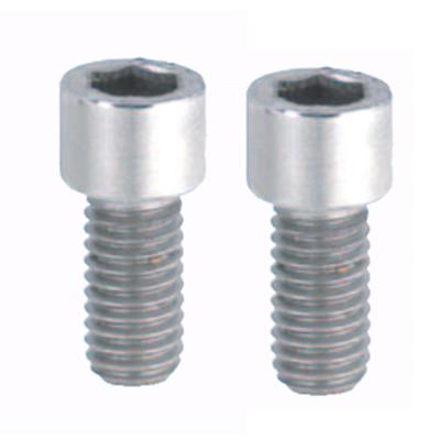 China HEX Stainless Steel SBBSS6 8 10 Small Head Low Profile Cap Screws for sale