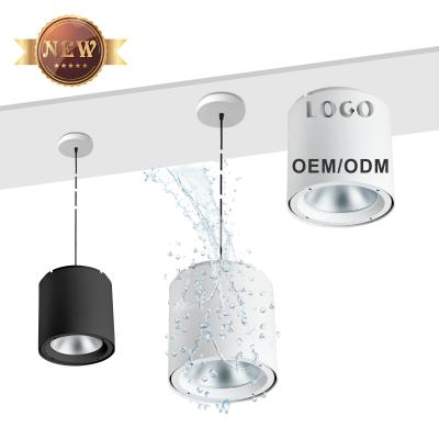 China ODM Commercial Cylinder Ip64 80w 100w 50w Ip44 Ip54 Ip65 OEM Outdoor Mounted Waterproof Aluminum Downlight COB Led 9w 15w 25w for sale