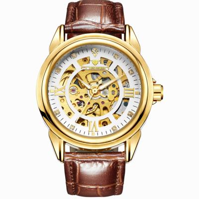 China Day/Date Hollow Automatic Wristwatches Watch Luminous Mechanical Men's Business Casual Dress 0014 Waterproof Watch FNGEEN for sale