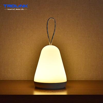 China Modern China Made Seven Color Conversion Bedroom RGB Smart Control Sleep Desk Lamp Tuya Portable Night Light for sale