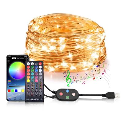 China Copper Wire Led Light Remote Controlled BT IP67 RGB LED String Light USB Powered Christmas Decoration Waterproof Waterproof String Light for sale