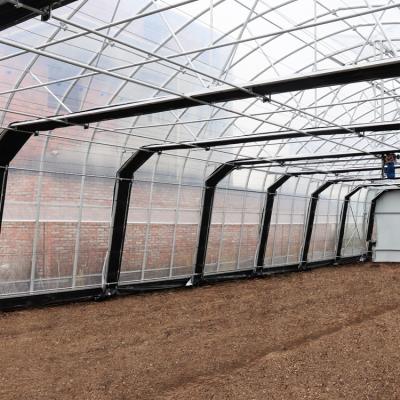 China Invernadero agrícola 10m*100m Invernadero de privación de luz Invernadero hidropónico para el cultivo de hierbas hidropónicas en venta