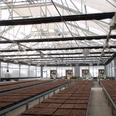 China Greenhouse Made In China Automatic Hoop Greenhouses Blackout Light Deprivation Greenhouse For Medical for sale