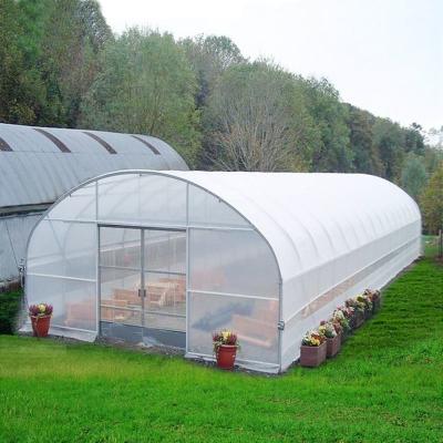 China Hydroponic Growing System Single-Span Tunnel Plastic Film Greenhouse Agricultural Te koop