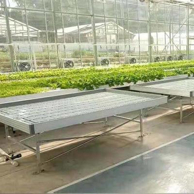 Chine Accès à la serre pour la culture des plantes 4'×8' 4'×10' banc à rouleaux à courbe et à débit à vendre