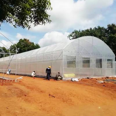 China Wind Resistance Plastic Film Greenhouse with 90% Light Transmittance for sale