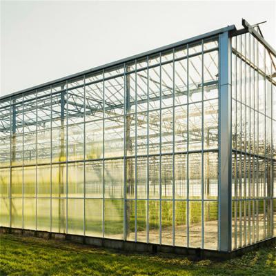 China Customizable High Durability Multispan Greenhouse Rain Resistant for sale