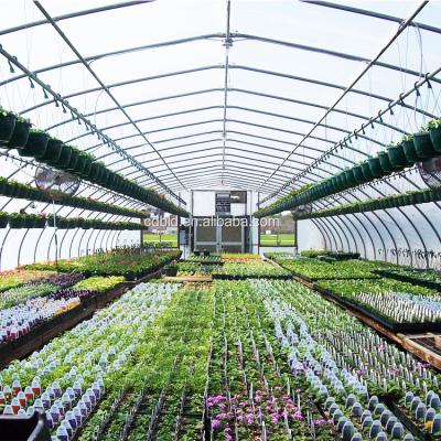 China Plastic Film Steel Frame Tunnel Greenhouse for Farm for sale