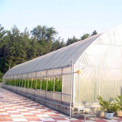 China Metal Frame Tunnel Greenhouse With Ventilated Serre Agricole Plant Tunnel Greenhouse for sale