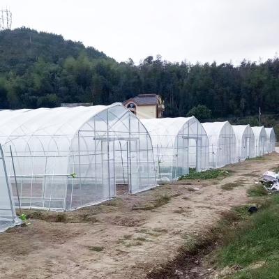 China 10x50m Polytunnel Berry Poly High Tunnel kas Film Tunnel kas Kit Te koop