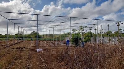 China High Grade Steel Frame Rectangle Greenhouse with Shading System and Temperature Control for sale