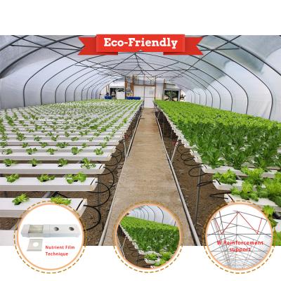 China tunnel green house vegetable lettuce pe film greenhouse with nft for sale