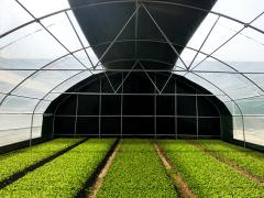 High Grade Steel Frame Rectangle Greenhouse with Shading System and Temperature Control