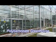 blackout system polycarbonate auto light dep poly greenhouses 30-60m