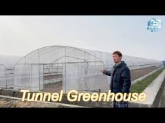 metal frame hothouse vegtable hoop house high tunnel greenhouse with rolling bench for sale