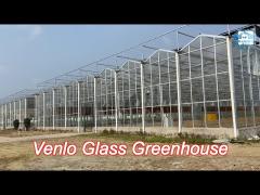 hydroponic system vegetable venlo glass greenhouse fully automated ventilation