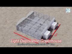 led lighting system light deprivation greenhouse for growing crops