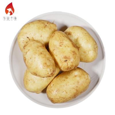 China Exporters Fresh Rice Hand Sorted High Quality Nutrition Fresh Potatoes Bulk Fresh Potatoes for sale