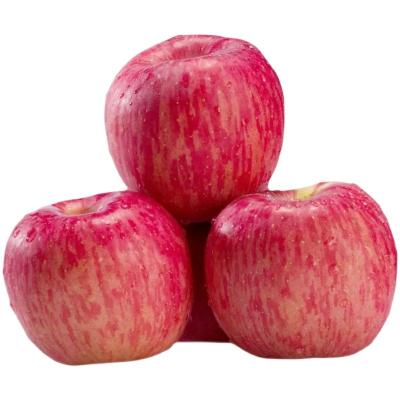 China China Suppliers Fresh Fuji Apple Premium Red Red Fuji Apples for sale