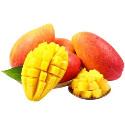 China China mango supplier price fresh delicate and sweet fresh fruit mango for sale