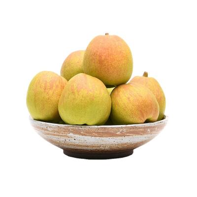 China Bulk Buy Fresh Pears Fresh Fruit Sweet And Juicy Fragrant Korla Pear for sale