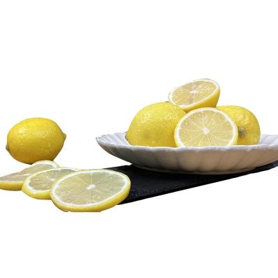 China Traditional plantation way sour and juicy fresh lemon fresh fruit fresh yellow lemons for sale