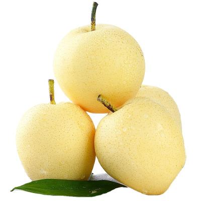 China Replenishing Taste Buds Crunchy Crown Pear Fruit Snow Fresh Awakening Chinese Pear for sale