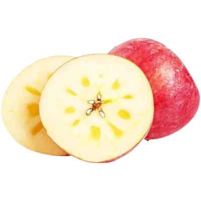 China Fresh Chinese Organic Red Fuji Fuji Apple Apples Fresh Fruits With Good Quality for sale