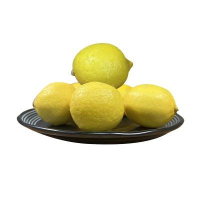 China Fresh healthy sour fresh yellow lemons fruit fresh lemon for sale for sale