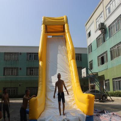 China Professional Supplier Inflatable Water Slide Inflatable PVC Tarpaulin Slide For Sale for sale