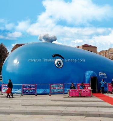 China Newest inflatable big whale park inflatable funny city plastic ball amusement park for sale