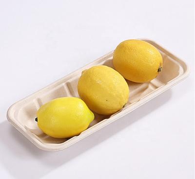 China Paper Disposable Fresh Dried Fruit Plate Trays Sugarcane Bagasse Fruit Dish Tray Biodegradable for sale