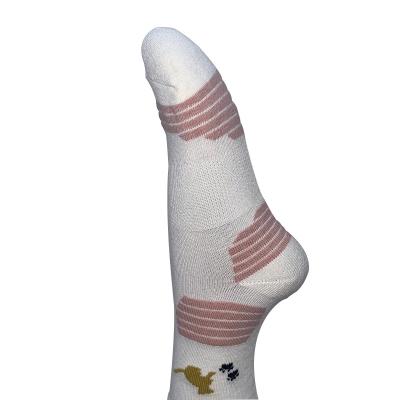 China The new type of high quality wholesale soft well selling women's cotton thong women's cotton socks for sale