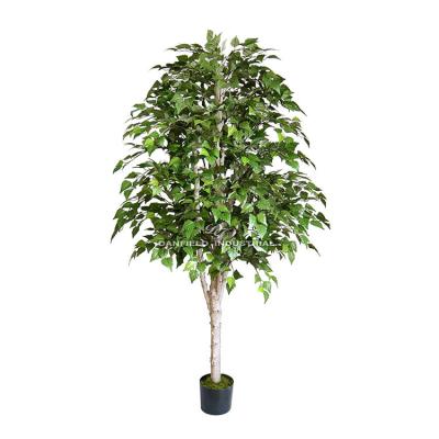 China Home/Hotel/Office/Festival/Indoor Decoration Plant Wholesale Artificial Birch Tree For House Garden Outdoor Indoor Decoration for sale