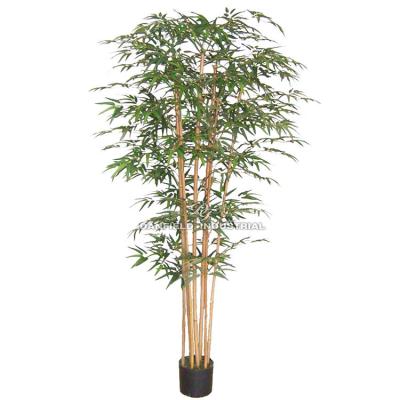 China Home/Hotel/Office/Festival/Indoor Decoration 183cm Almost Natural Potted Plants Artificial Bamboo Tree For Home Decorative for sale