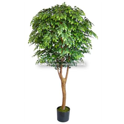 China Home/Hotel/Office/Hot Selling Indoor Decoration Huckleberry Tree Artificial Plants Festival/Classic Indoor Decoration Plant for sale