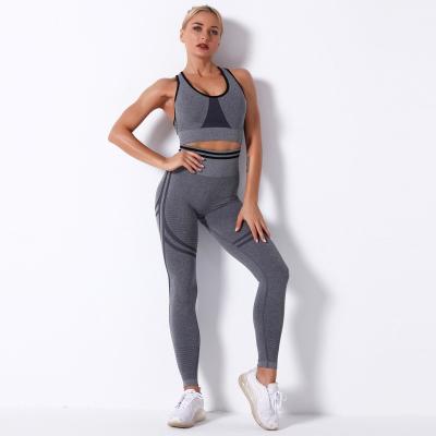 China Hip Professional Sports Tight Wear Antibacterial Knitted Seamless Yoga Sets Fitness Gym Women Two Piece Set for sale