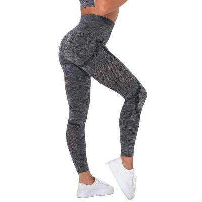 China Top Quality Sports Women Fitness Polyester Gaiters Breathable Legging for sale