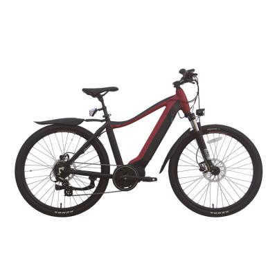 China bicicleta elétrica de dobramento portátil do motor E do cubo da bicicleta 350w com bateria removível 36V 10Ah à venda