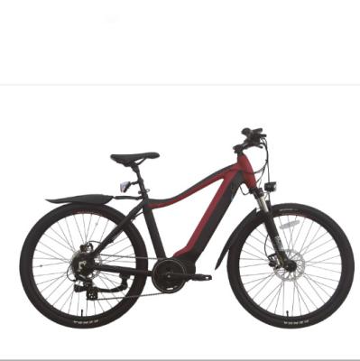 China 200w 2 Wheel Drive Electric Bike Adult 29 Inch 40 Mph E Fat Tire Portable Motorized Bike for sale