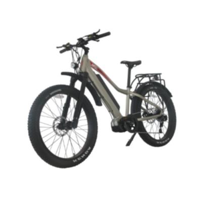 China E fahren 26 elektrisches Fahrrad des Zoll-48v 1000w das 26 Zoll-Rad-elektrisches Fahrrad starkes Off Road rad zu verkaufen