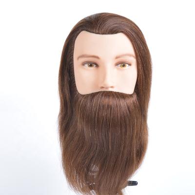 China With Beard Wholesale Hair Mannequin Male 100% Training Head With Beard For Hairdresser for sale