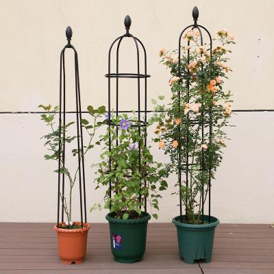 China Contemporary Indoor Green Rose Climbing Stand Clematis Flower Balcony Flower Stand Plant Rack Climbing Frame for sale