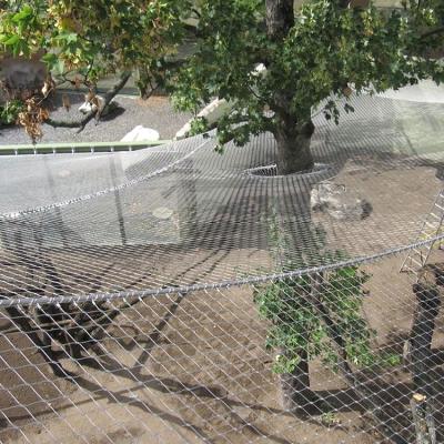 China Plain Weave Fence Farming Wire Mesh Netting Shelf Mesh Iron Fence Stainless Steel Mesh for sale