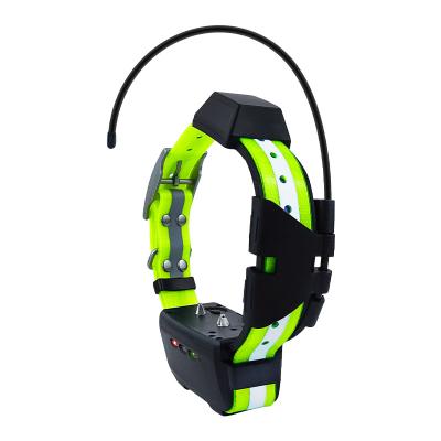 China APP Control ILOILOKA Unique best level 3 intensity stimulation tracking collar hunting dog training collar for sale